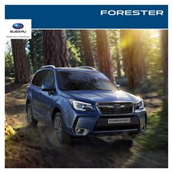 Предложения Автомобили и запчасти в Subaru в каталоге Новокуйбышевск